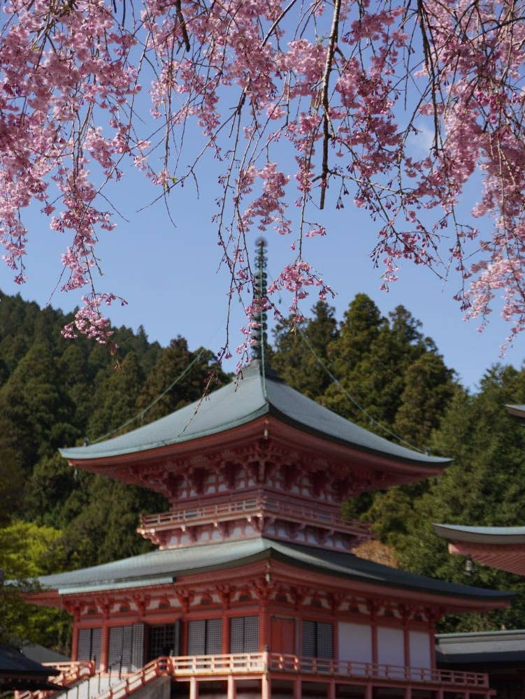 比叡山延暦寺