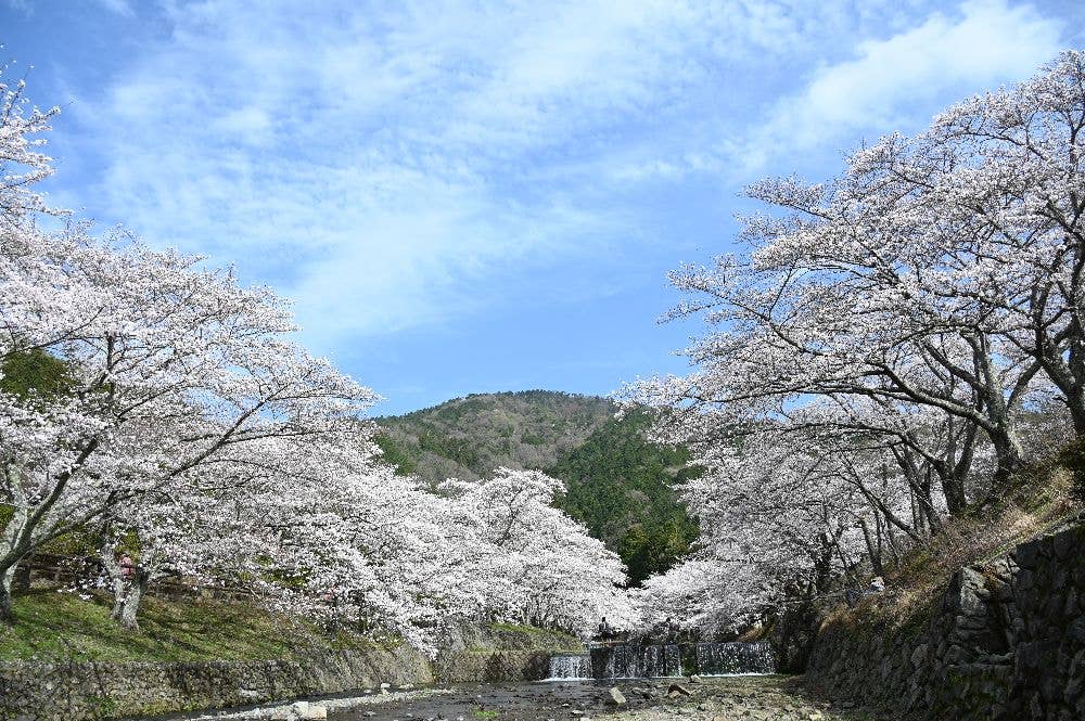 七谷川 和らぎの道 京都府 Japan 47 Go