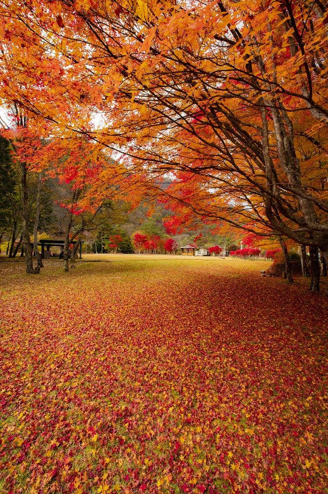 足尾・銀山平公園