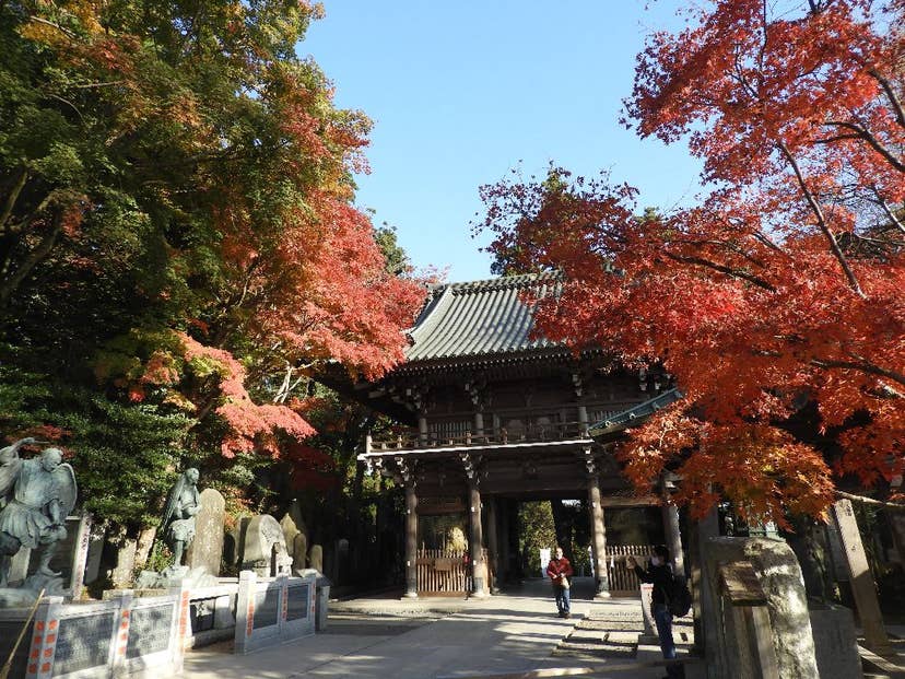 高尾山