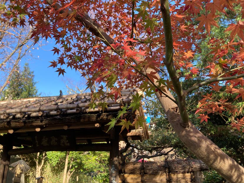 向島百花園