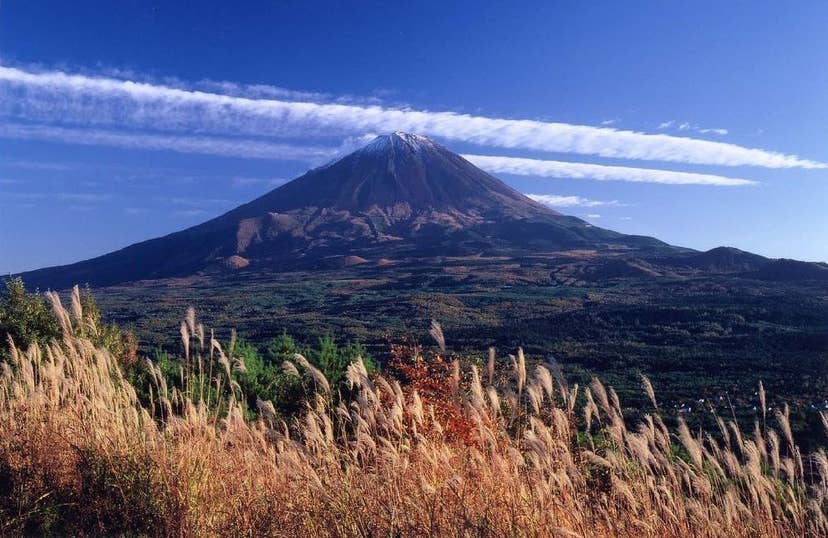 紅葉台