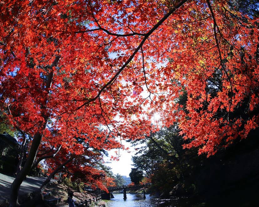 岡崎市東公園