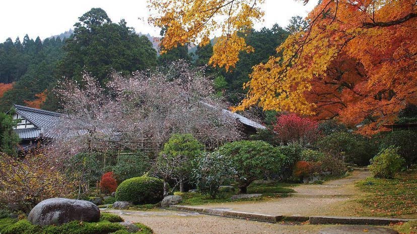 実光院
