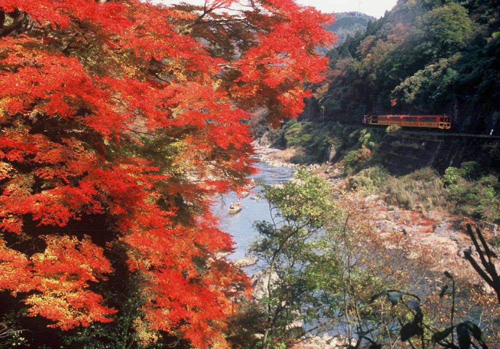 保津峡(保津川下り)