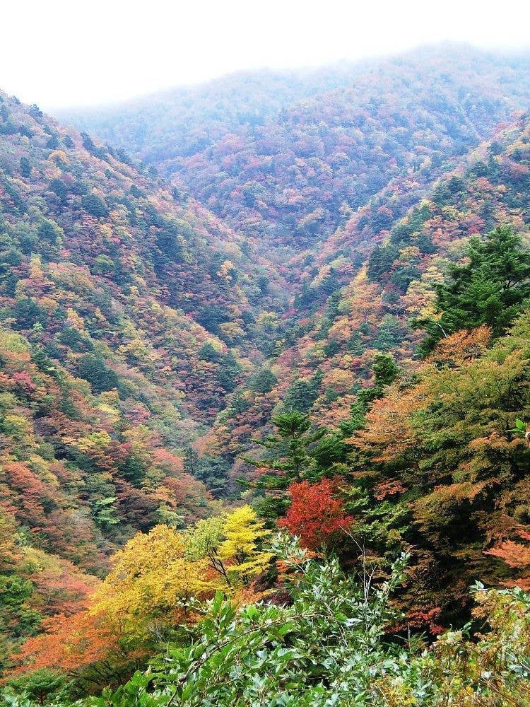 高野龍神スカイライン(国道371号線)(五百原渓谷)