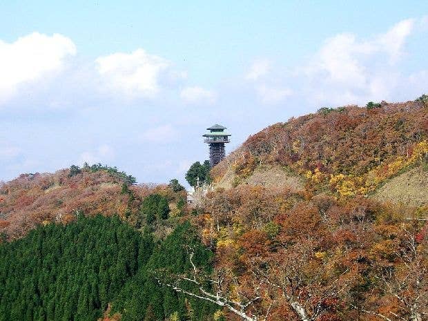 高野龍神スカイライン(国道371号線)(護摩壇山周辺)