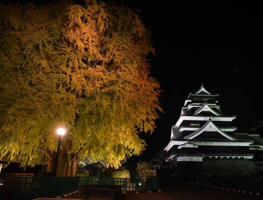 熊本城