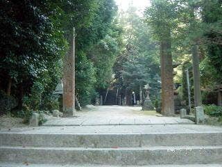 高松八幡宮樹林