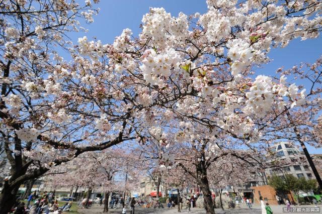 日暮里南公園