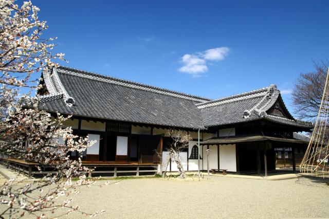 送料込み 游於藝(芸に游ぶ) 弘道館印 祥雲堂 - 工芸品