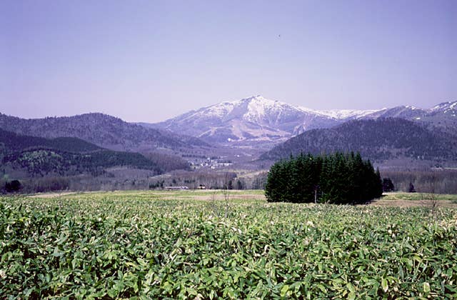 Mt. Tomamu