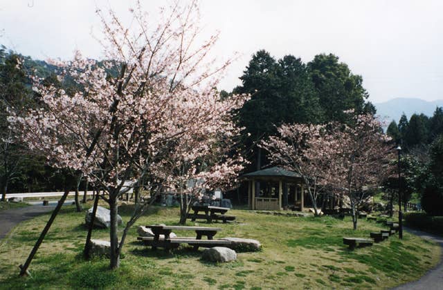 一本松公園 昭和の森 福岡県 Japan 47 Go