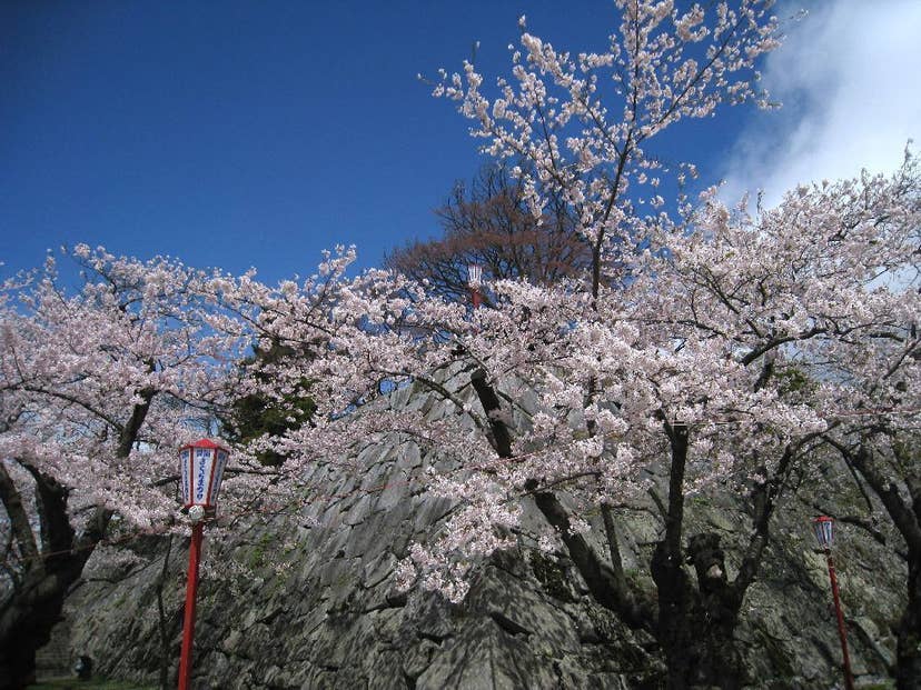 盛岡城跡公園（岩手公園）