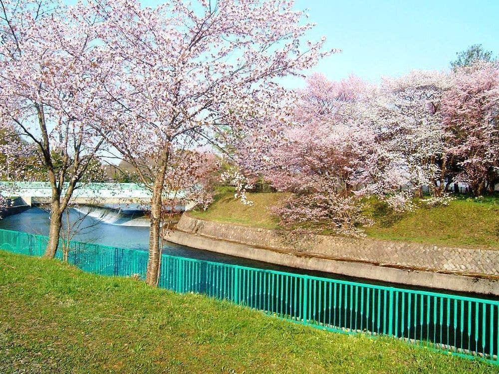 聖台ダム公園