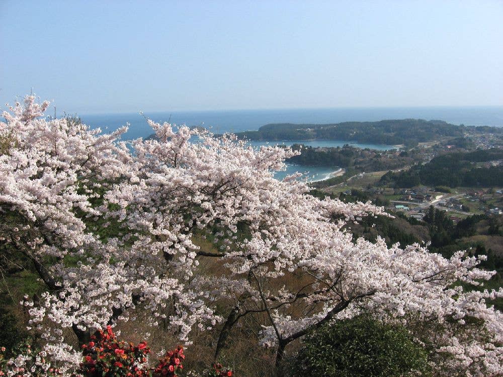 気仙沼大島の亀山