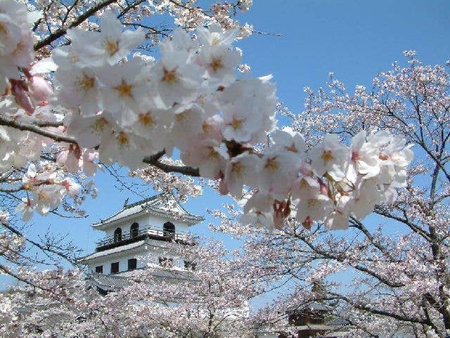 白石城本丸広場