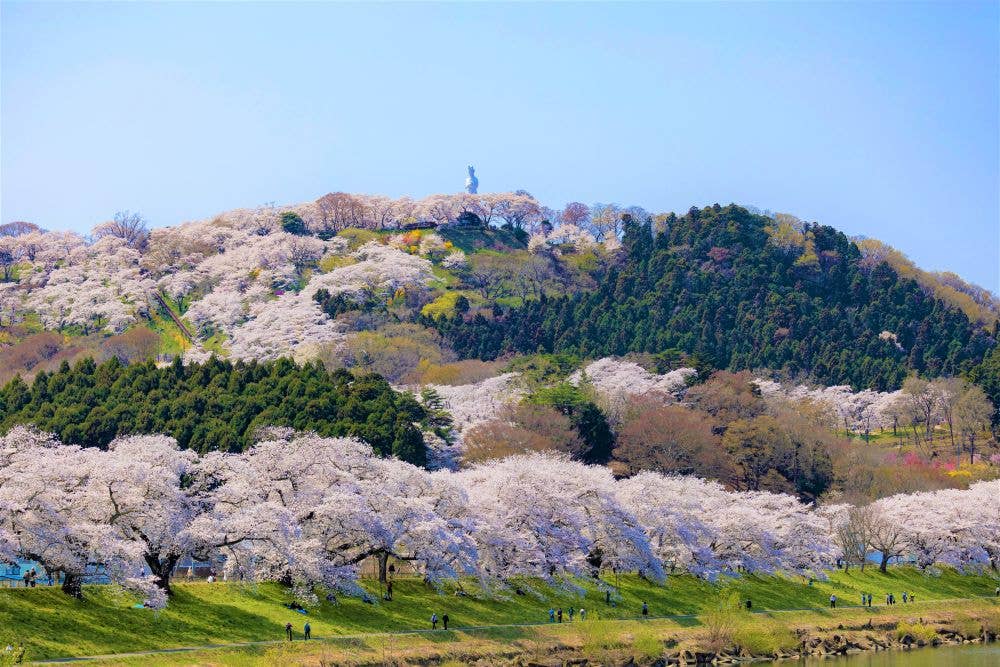 船岡城址公園