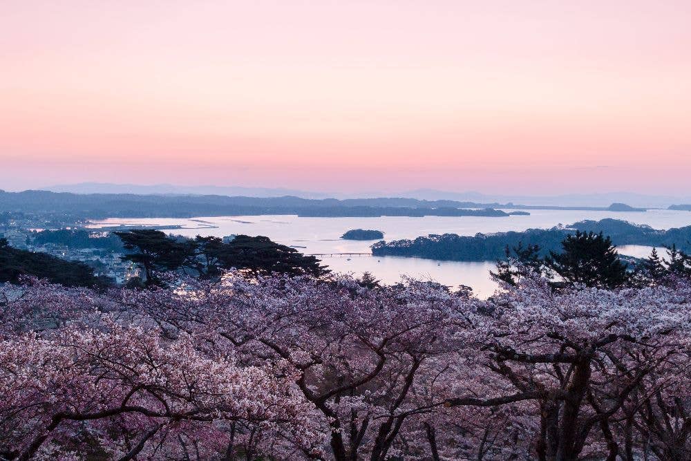 松島(西行戻しの松公園)