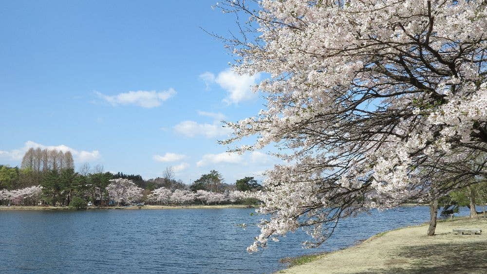 南湖公園