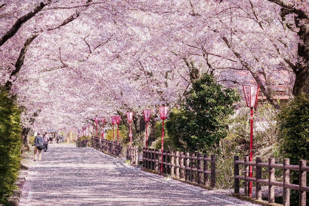 岳温泉