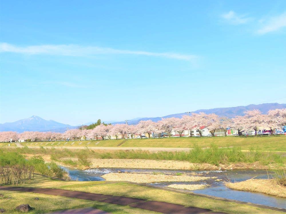 宮川千本桜