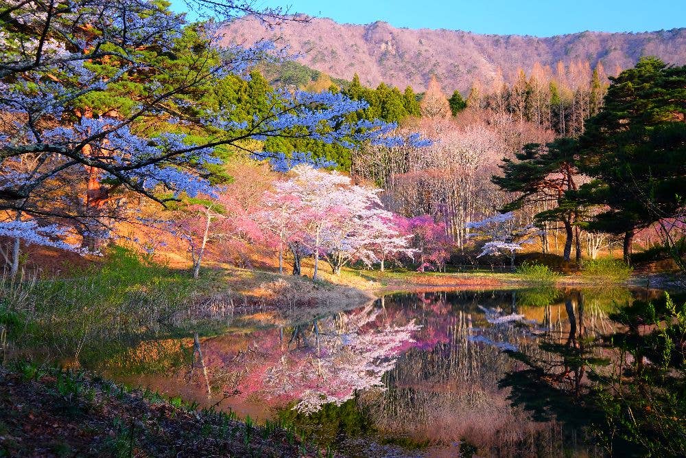 半田山自然公園