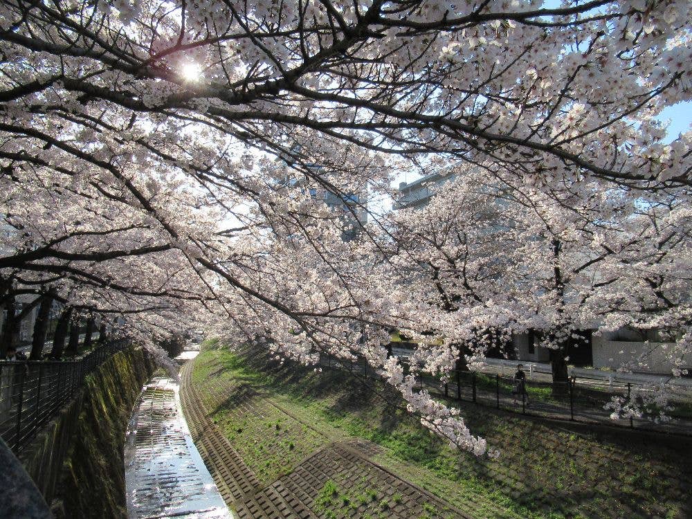 乞田川