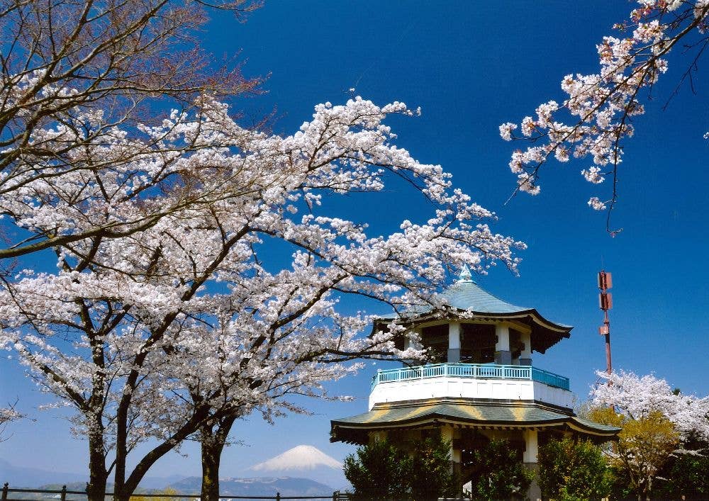 弘法山公園
