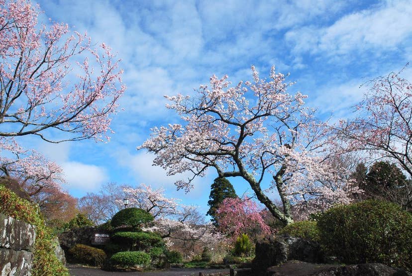 箱根強羅公園