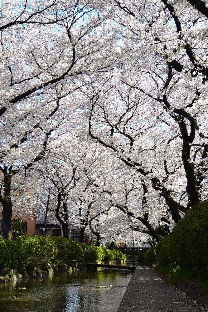 二ヶ領用水宿河原堀