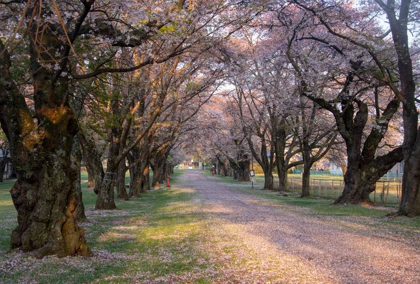 茨城牧場　長野支場