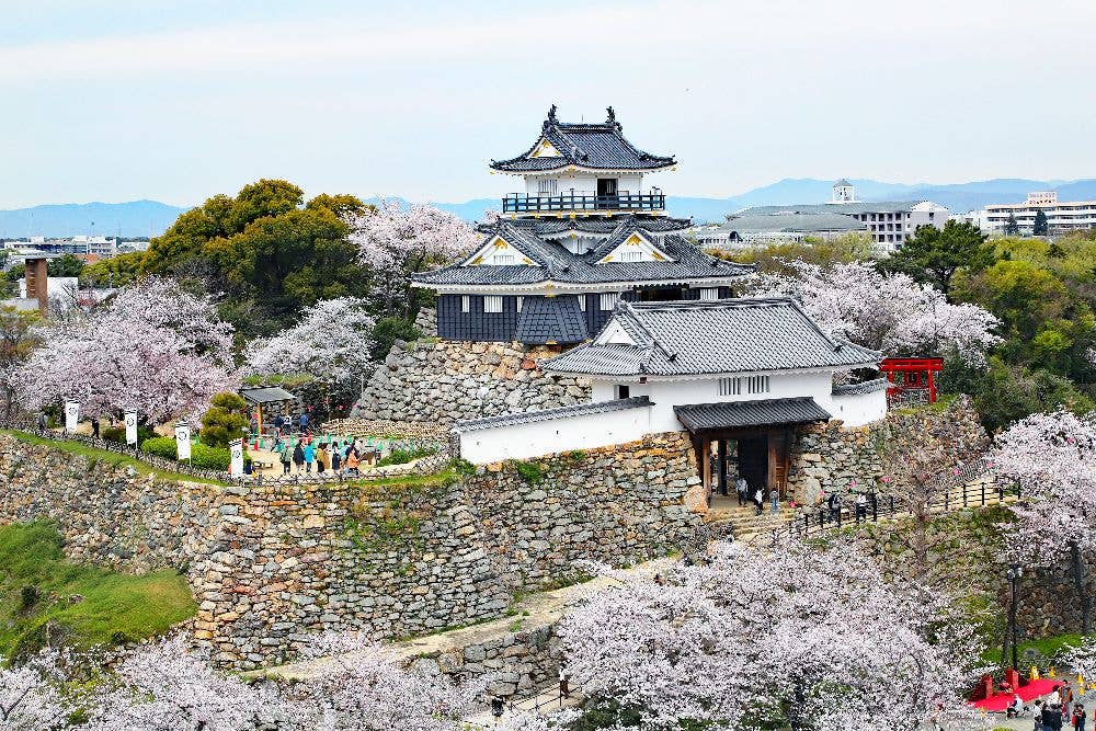 浜松城公園
