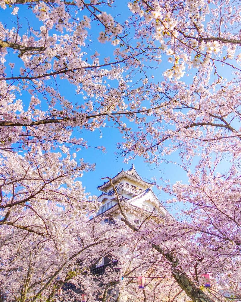 豊公園