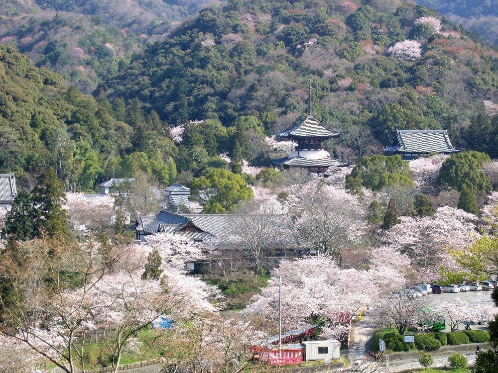 根來寺