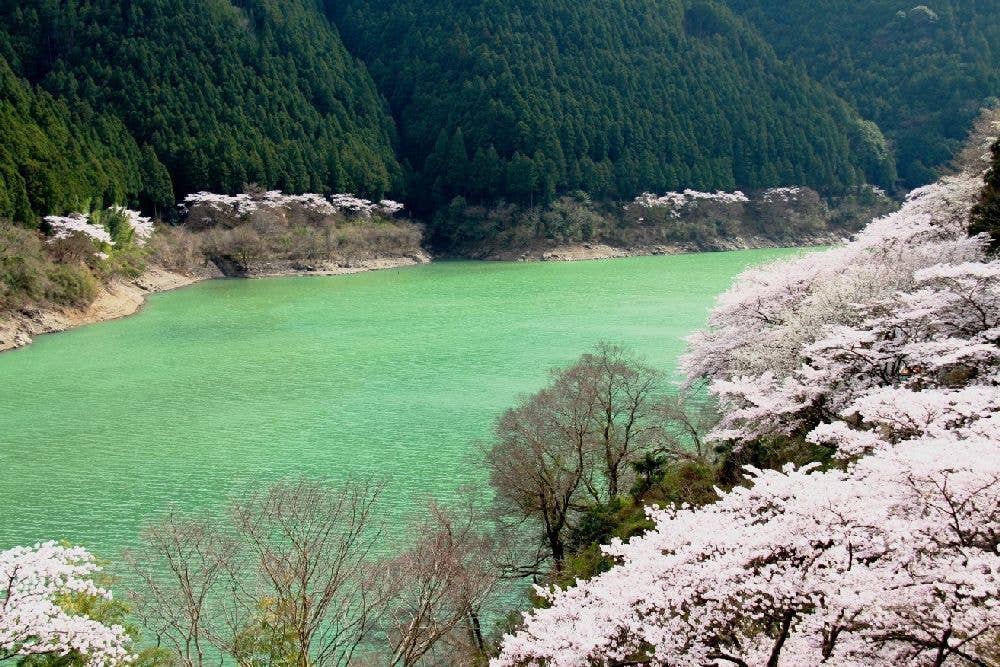 二川ダム湖畔