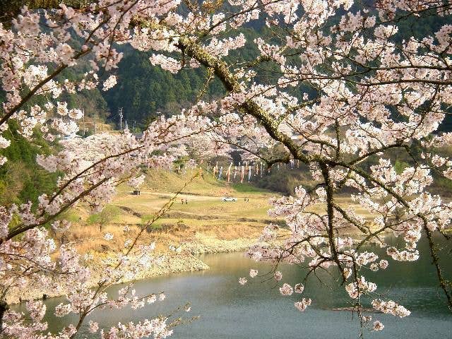 佐田地内(七川ダム)