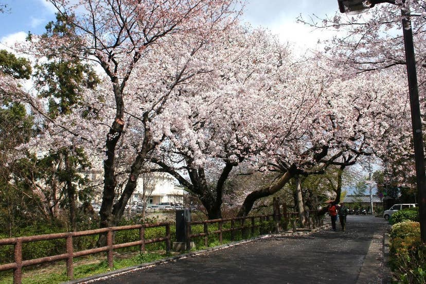 江波山公園
