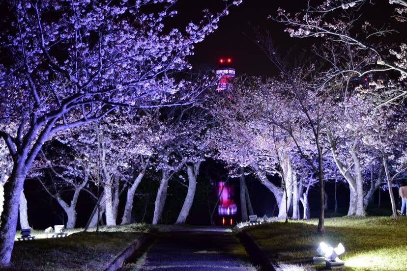 ときわ公園