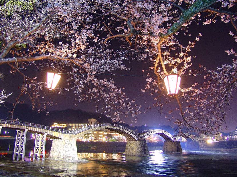 錦帯橋河畔