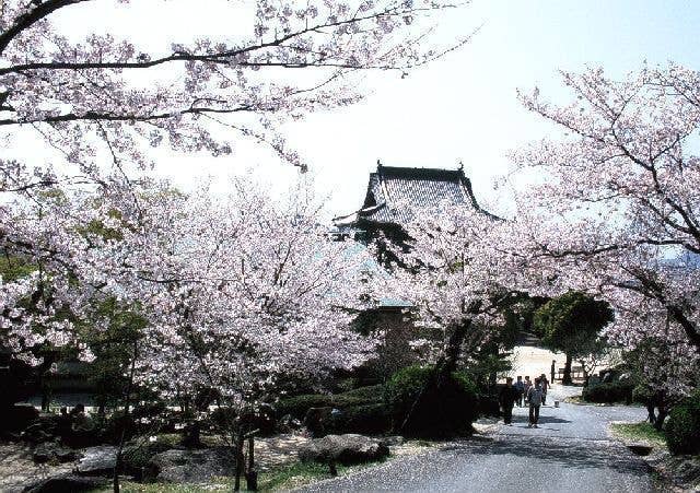 防府天満宮（天神山公園）