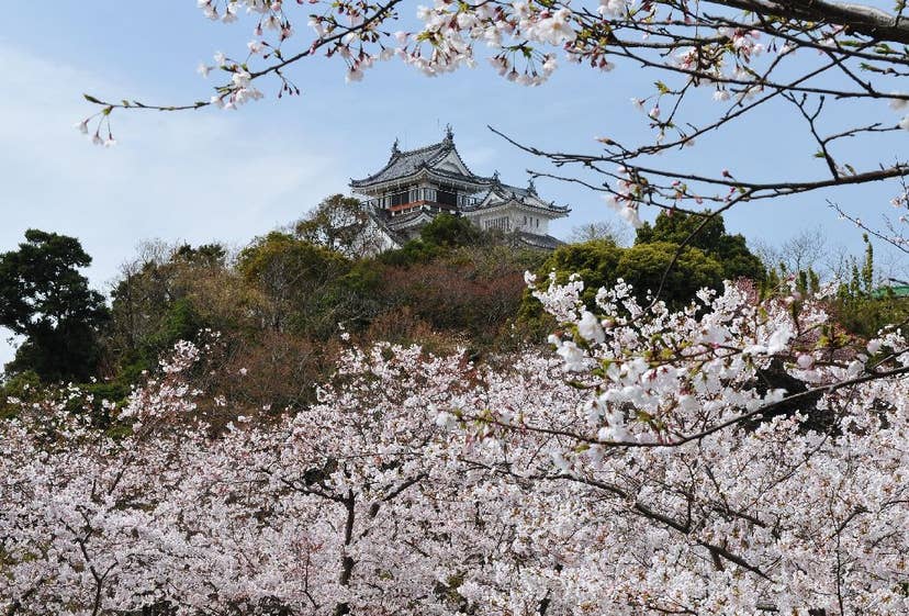 妙見山公園