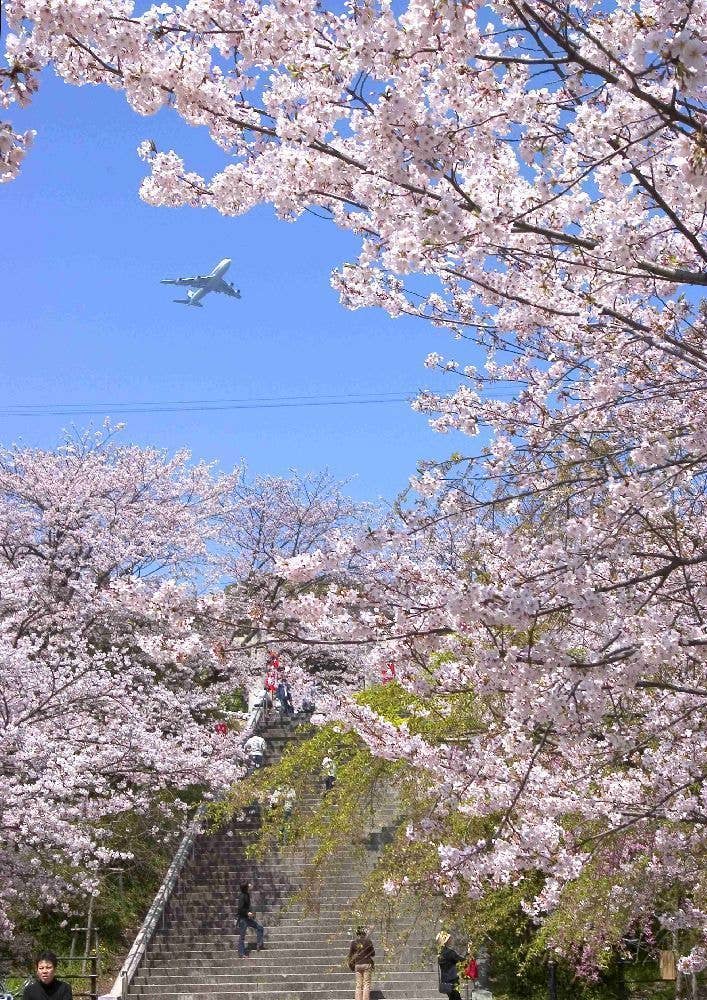 西公園