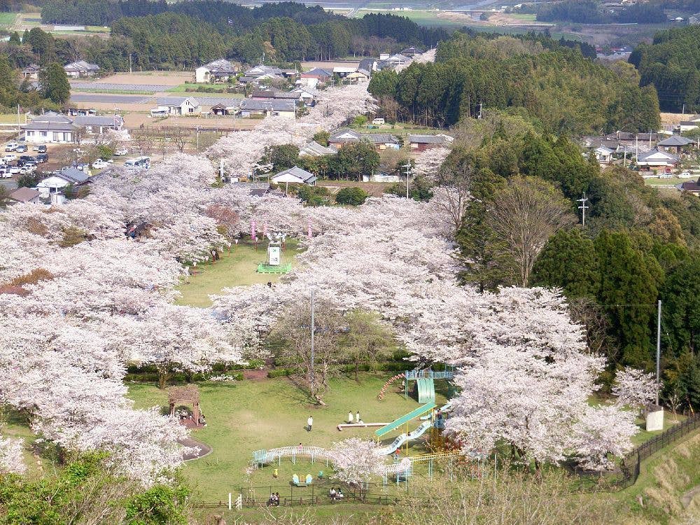母智丘公園
