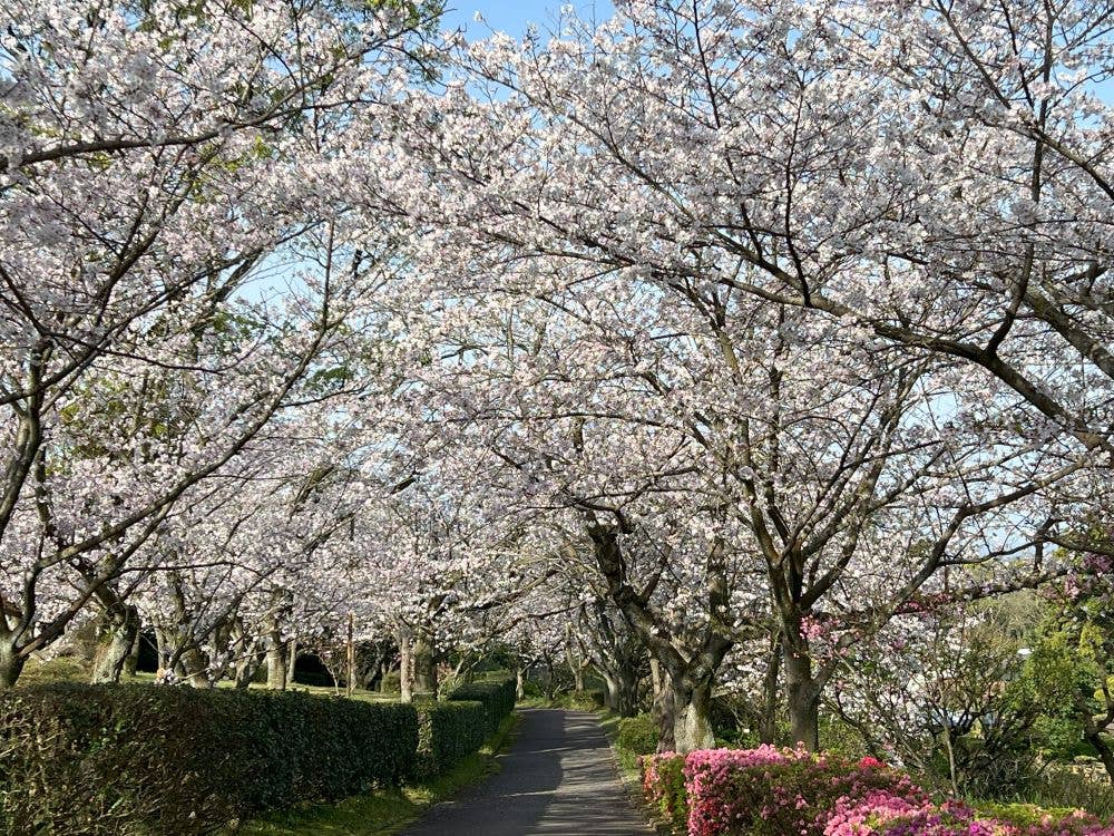 吉野公園