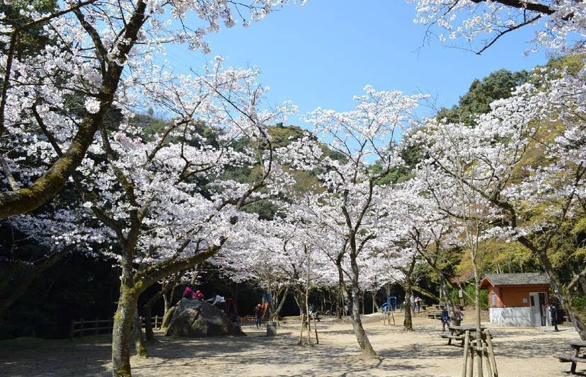 慈眼寺公園