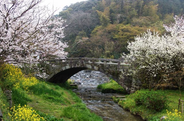 秋月の眼鏡橋