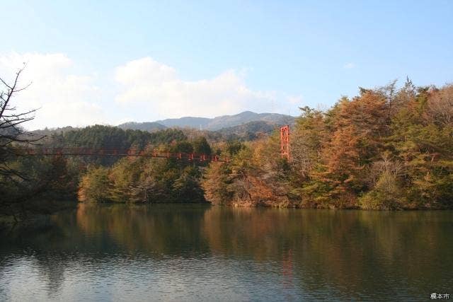 杉村公園 丸尾槁