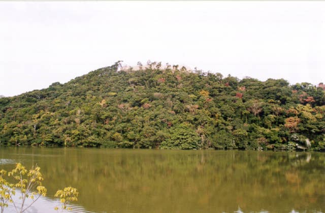 富岡城山公園