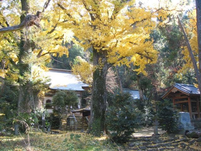 飯田山常楽寺